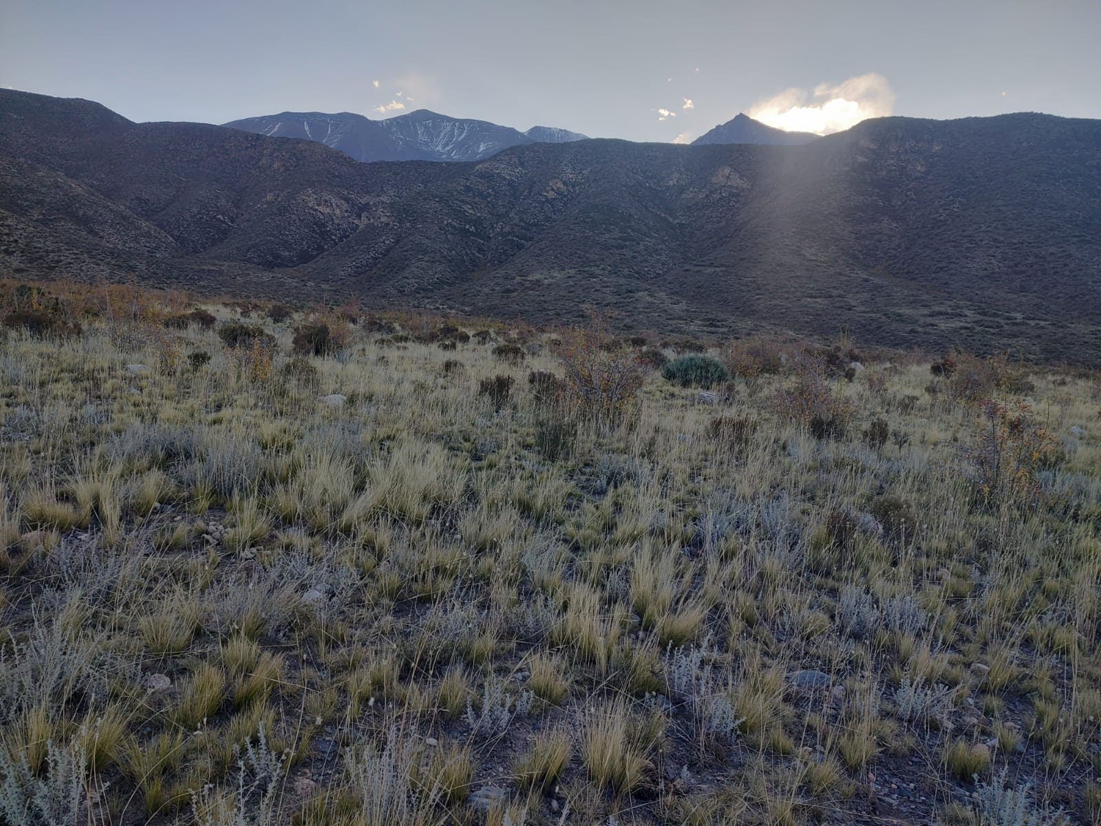 Lote, potrerillos, piedras blancas, vistas